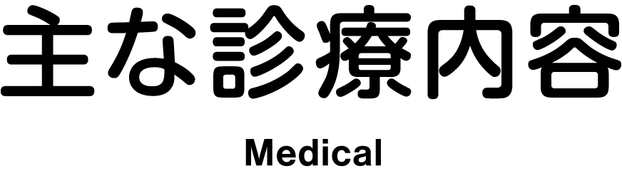 主な診療内容 Medical