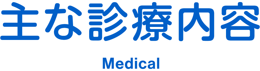 主な診療内容 Medical